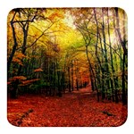 Forest Woods Autumn Nature Square Glass Fridge Magnet (4 pack)