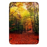 Forest Woods Autumn Nature Rectangular Glass Fridge Magnet (4 pack)