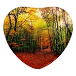 Forest Woods Autumn Nature Heart Glass Fridge Magnet (4 pack)