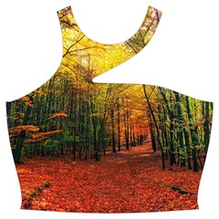 Forest Woods Autumn Nature Cut Out Top from ArtsNow.com Front