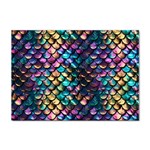 Rainbow Scales Sticker A4 (10 pack)