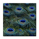 Peacock Feathers Details Tile Coaster