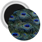 Peacock Feathers Details 3  Magnets