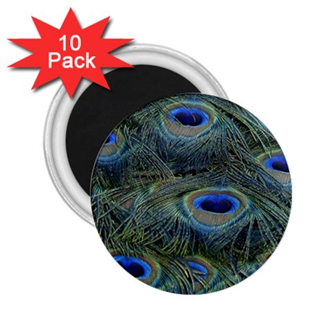 Peacock Feathers Details 2.25  Magnets (10 pack)  from ArtsNow.com Front