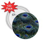 Peacock Feathers Details 2.25  Buttons (100 pack) 