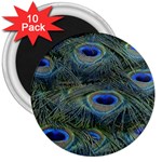 Peacock Feathers Details 3  Magnets (10 pack) 