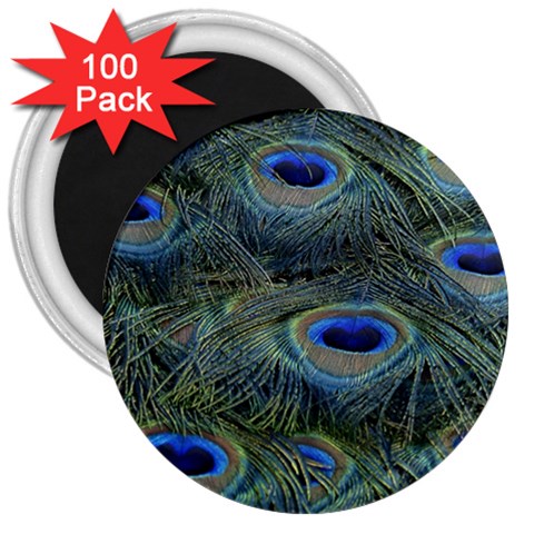 Peacock Feathers Details 3  Magnets (100 pack) from ArtsNow.com Front