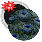 Peacock Feathers Details 3  Magnets (100 pack)