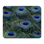 Peacock Feathers Details Large Mousepad