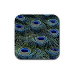 Peacock Feathers Details Rubber Square Coaster (4 pack)