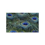 Peacock Feathers Details Sticker (Rectangular)