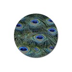 Peacock Feathers Details Magnet 3  (Round)