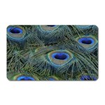 Peacock Feathers Details Magnet (Rectangular)