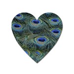 Peacock Feathers Details Heart Magnet