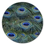 Peacock Feathers Details Magnet 5  (Round)