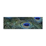 Peacock Feathers Details Sticker Bumper (10 pack)