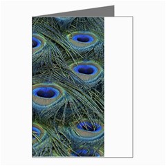 Peacock Feathers Details Greeting Card from ArtsNow.com Left