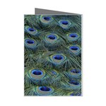 Peacock Feathers Details Mini Greeting Cards (Pkg of 8)