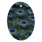 Peacock Feathers Details Oval Ornament (Two Sides)