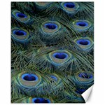 Peacock Feathers Details Canvas 16  x 20 