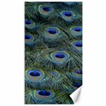 Peacock Feathers Details Canvas 40  x 72 