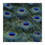 Peacock Feathers Details Medium Glasses Cloth