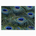 Peacock Feathers Details Large Glasses Cloth