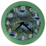 Peacock Feathers Details Color Wall Clock