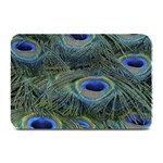 Peacock Feathers Details Plate Mats