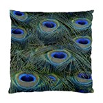 Peacock Feathers Details Standard Cushion Case (One Side)