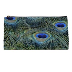 Peacock Feathers Details Pencil Case from ArtsNow.com Front