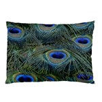 Peacock Feathers Details Pillow Case (Two Sides)