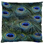 Peacock Feathers Details Standard Premium Plush Fleece Cushion Case (One Side)