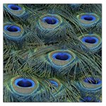 Peacock Feathers Details Square Satin Scarf (36  x 36 )