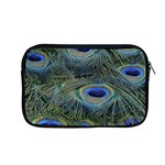 Peacock Feathers Details Apple MacBook Pro 13  Zipper Case