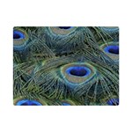 Peacock Feathers Details Premium Plush Fleece Blanket (Mini)