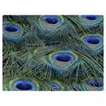 Peacock Feathers Details Two Sides Premium Plush Fleece Blanket (Baby Size)