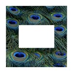 Peacock Feathers Details White Box Photo Frame 4  x 6 