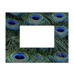 Peacock Feathers Details White Tabletop Photo Frame 4 x6 