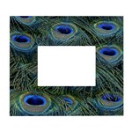 Peacock Feathers Details White Wall Photo Frame 5  x 7 