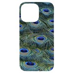 Peacock Feathers Details iPhone 14 Pro Max Black UV Print Case