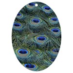 Peacock Feathers Details UV Print Acrylic Ornament Oval