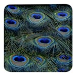 Peacock Feathers Details Square Glass Fridge Magnet (4 pack)