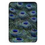 Peacock Feathers Details Rectangular Glass Fridge Magnet (4 pack)