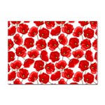 Flower Poppies Plant Petal Sticker A4 (10 pack)