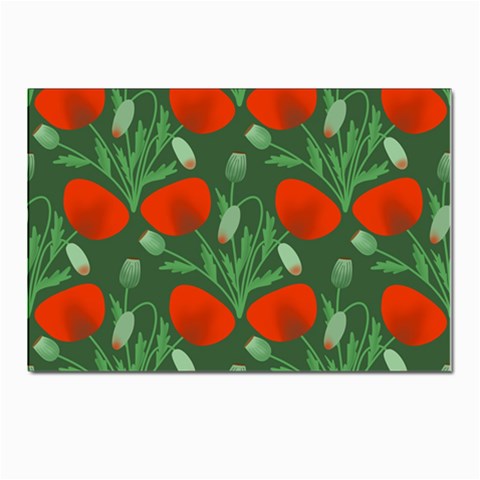 Poppy Fierce Wolf Poppies Bud Postcard 4 x 6  (Pkg of 10) from ArtsNow.com Front