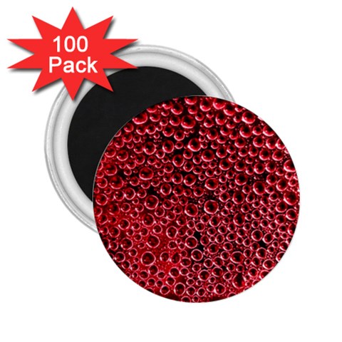 Drops Water Drops Trypophobia 2.25  Magnets (100 pack)  from ArtsNow.com Front