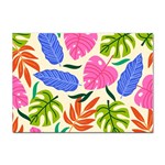 Tropical Sheets Summer Beach Sticker A4 (100 pack)