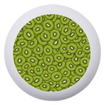 Kiwi Fruit Pattern Green Background Dento Box with Mirror