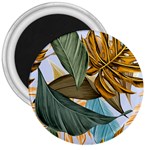 Monstera Palm Leaves Plants 3  Magnets